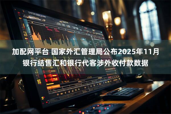 加配网平台 国家外汇管理局公布2025年11月银行结售汇和银行代客涉外收付款数据