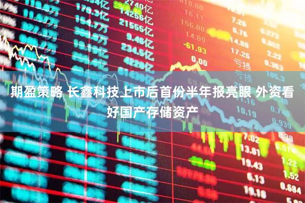 期盈策略 长鑫科技上市后首份半年报亮眼 外资看好国产存储资产